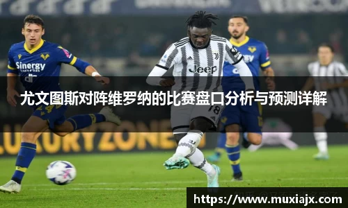 九游老哥J9俱乐部